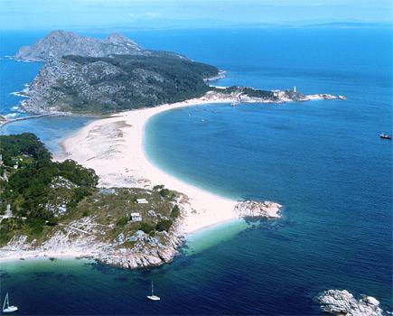 cies