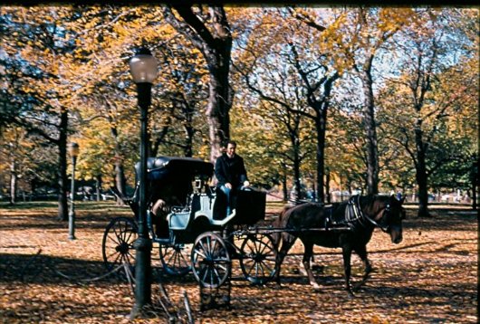 800px-Carriage_Central_Park-wiki